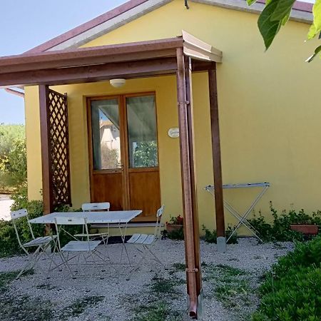 Agriturismo I Ciliegi Appartamento Ginestra Montignano Экстерьер фото