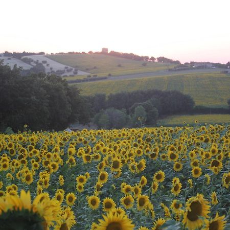Agriturismo I Ciliegi Appartamento Ginestra Montignano Экстерьер фото