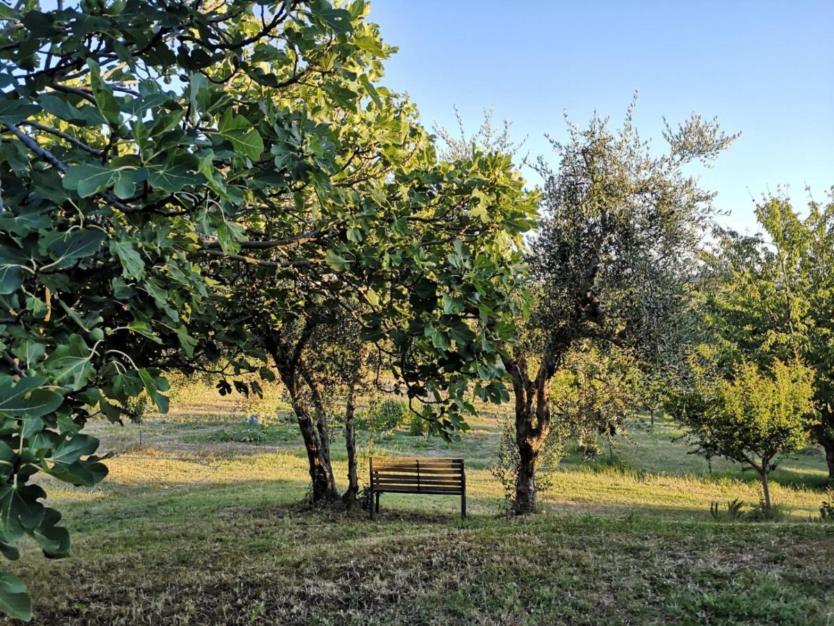 Agriturismo I Ciliegi Appartamento Ginestra Montignano Экстерьер фото