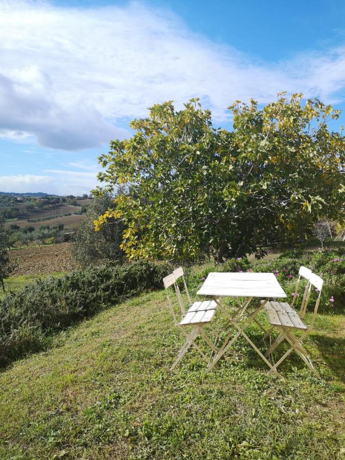 Agriturismo I Ciliegi Appartamento Ginestra Montignano Экстерьер фото