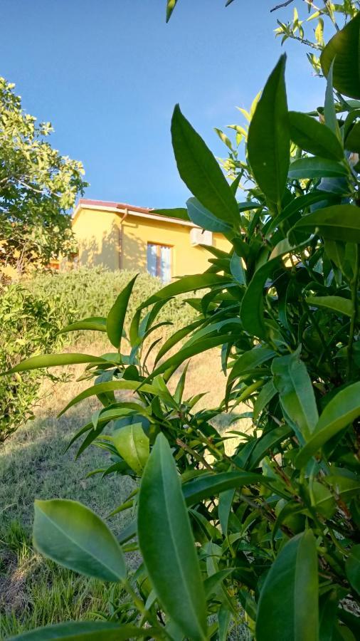 Agriturismo I Ciliegi Appartamento Ginestra Montignano Экстерьер фото