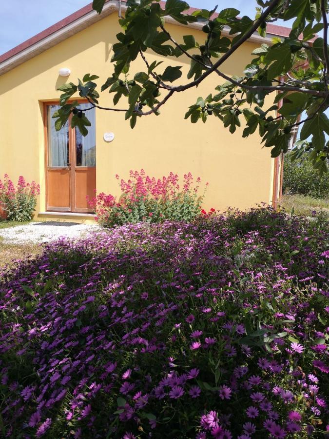 Agriturismo I Ciliegi Appartamento Ginestra Montignano Экстерьер фото